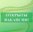 В отдел финансов Администрации Бутурлиновского муниципального района требуется специалист. - Бутурлиновский район